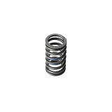 Пружина клапана 6CT 5292625 HAFFEN