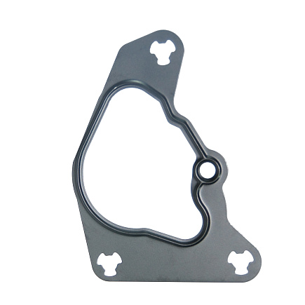 Прокладка вакуумного насоса ISF2.8 5264426 HAFFEN